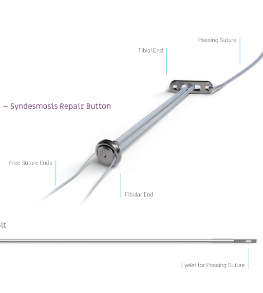 Constrictor<sup>®</sup> Image Gallery Image